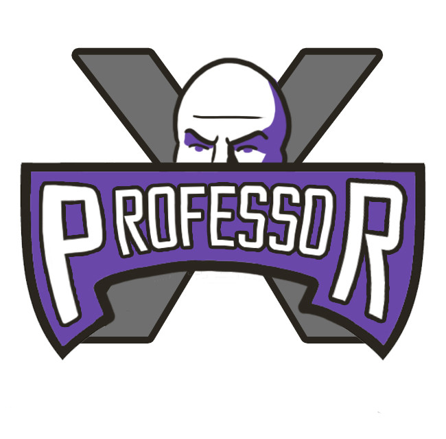 Sacramento Kings Professor X logo DIY iron on transfer (heat transfer)